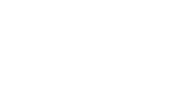 Sallandre Logo