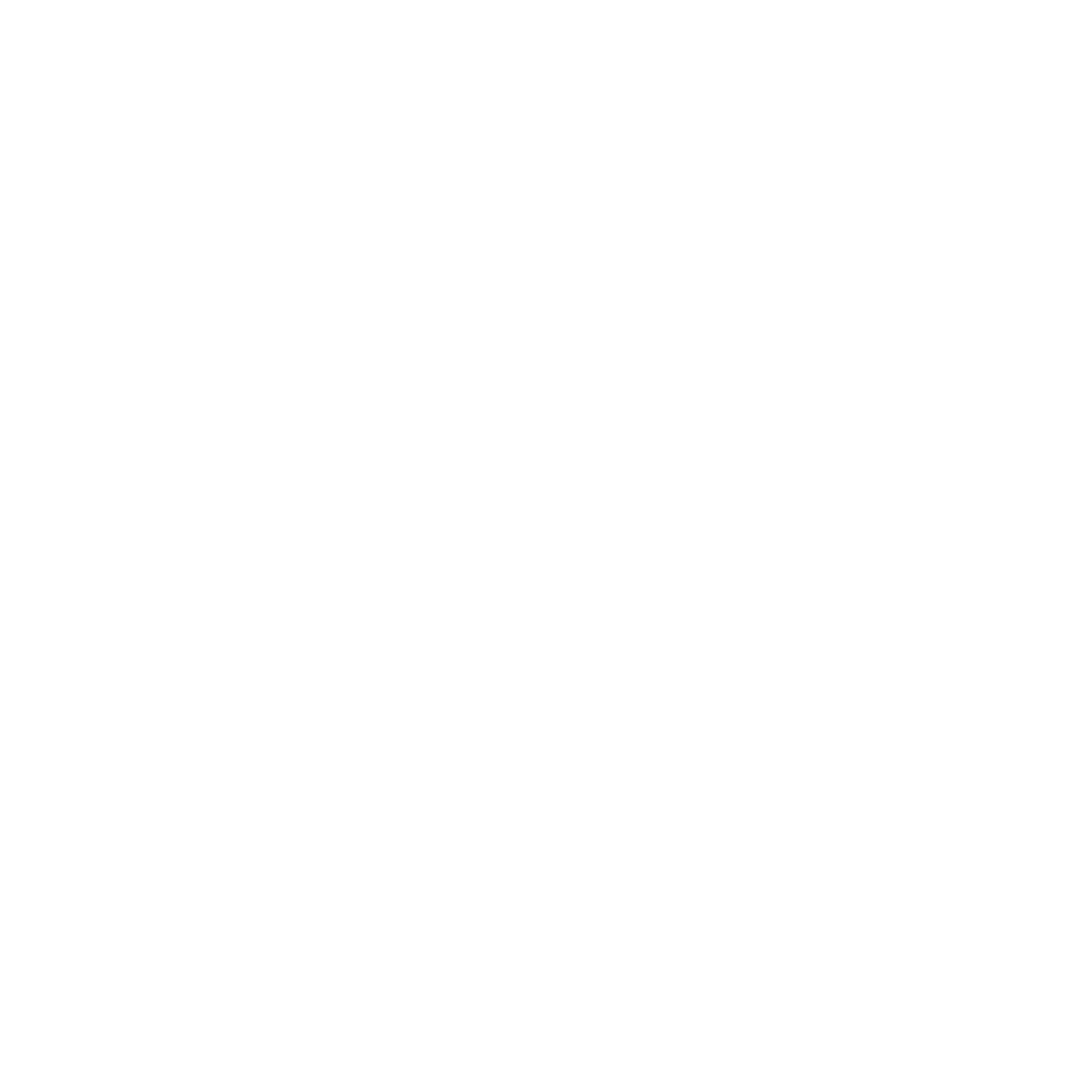 Sallandre Logo